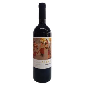 vinho-brasileiro-tinto-marzarotto-pleno-cabernet-franc-pinheiro-machado-serra-do-sudeste
